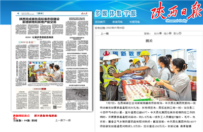 d88尊龙z6西北集团珑樾府项目高温慰问——《陕西日报》